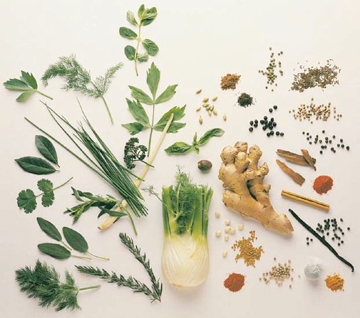 Herbal remedies for alcoholism